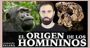 El Origen de los homininos | Los primeros representantes de nuestro linaje.