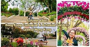 FINDING HONG KONG ZOOLOGICAL & BOTANICAL GARDENS | CENTRAL HONG KONG | JOY WANDERS