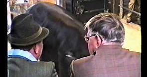 Last ever Hertford Cattle Market August 1993