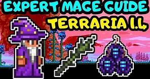 TERRARIA EXPERT MAGE PROGRESSION GUIDE! Terraria 1.4 Mage Guide for Beginners! Mage loadout guide!
