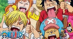 The Crew Dunk on Zoro | One Piece