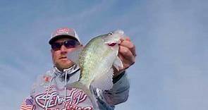 Kentucky Lake Crappie Fishing w/ Mike & Tony Sheppard of Jenko Fishing - Crappie Masters S11E11