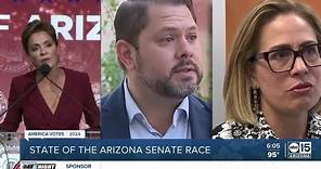 Sizing up the Arizona U.S. Senate race now that Kari Lake is in