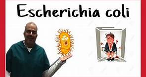 Escherichia coli: características, subtipos, enfermedades y diagnostico.
