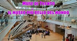 Muse di Trento: il museo più bello del mondo