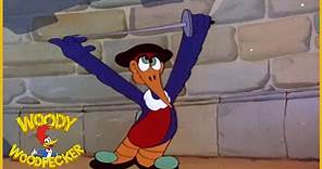 Woody Woodpecker | Hollywood Matador | Full Episodes