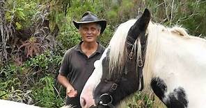 A cheval dans la pandanaie de la Plaine des Palmistes – La Réunion