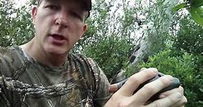 Calling Mourning Doves with Dave's Dynamite Dove Call