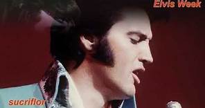 ELVIS PRESLEY - WOMAN WITHOUT LOVE