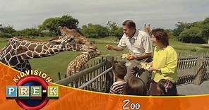 Zoo | Virtual Field Trip | KidVision Pre-K