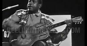 Bukka White • “Aberdeen Mississippi Blues” • LIVE 1967 [Reelin' In The Years Archive]