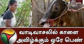 Only lady who grows bull for Jallikattu in Madurai