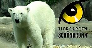 Schonbrunn Zoo (Vienna Austria) Tour & Review with The Legend