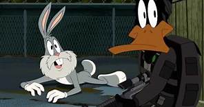 know your role!: looney tunes clip