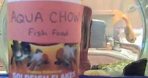 Aqua Chow
