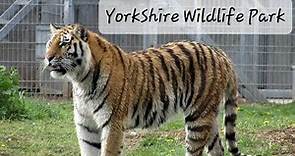 Yorkshire Wildlife Park 4k 2023 Doncaster Uk Zoo Tour Animal Footage Lions Tigers Bears Giraffes