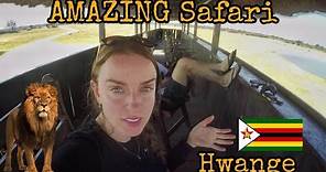 AMAZING Safari! Hwange National Park ~ Zimbabwe 🇿🇼🦁