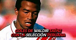 Goles de Waldir Saénz - Selección Peruana (1993 - 2000)