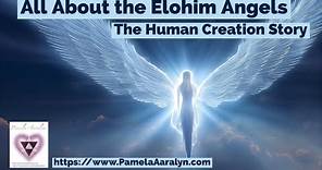All About the Elohim Angels- The Human Creation Story