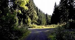 Germany Thuringian forest Thüringer Wald