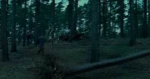 Harry Potter Y Las Reliquias De La Muerte - Trailer 3 Español Latino - FULL HD