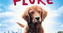 Fluke (Cine.com)