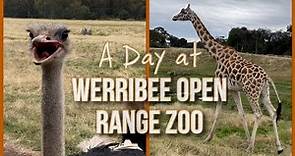 A Day at Werribee Open Range Zoo | Melbourne, Australia