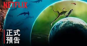 《我們的生物世界》 | 姬蒂白蘭芝 | 正式預告 | Netflix