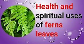 Health and spiritual uses of ferns leaves