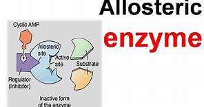Allosteric enzyme