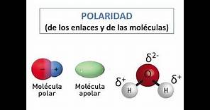 Polaridad de las moléculas y de los enlaces