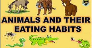 Animals and their Eating Habits | Eating Habits of Animals | Feeding Habits of Animals