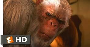 Goosebumps (1/10) Movie CLIP - The Abominable Snowman of Pasadena (2015) HD