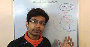 Mammalian cell culture 1 - introduction to cell culture