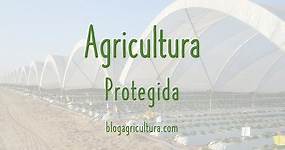 ¿Qué son las casas sombra? – Blog Agricultura