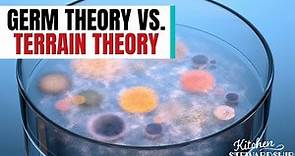 Terrain Theory Versus Germ Theory | Understanding Your Immune System