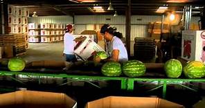 American Harvest Documentary 18min featurette 720p Youtube farmworkers farmers