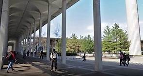 SUNY at Albany - 5 Things to Avoid as a Student