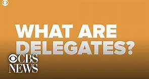 The Democratic delegate process explained, in one minute