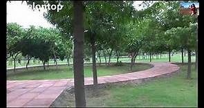 Different Kind Of People In A Park | Different Types of People at the Park | Travelontop | Noida