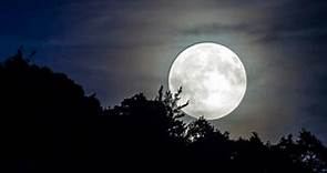 Calendario lunar de noviembre 2021: ¿cuáles son las fases de la luna y cuándo habrá luna llena este mes?