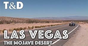 Las Vegas Tourist Guide: The Mojave Desert - Travel & Discover
