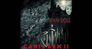 X-Ray Dog - A Stranger Awaits