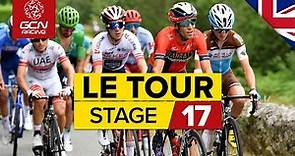 Tour de France 2019 Stage 17 Highlights: Pont du Gard - Gap