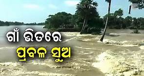 Odisha Flood | Daya River Flood Water Move Towards Pipli | Puri