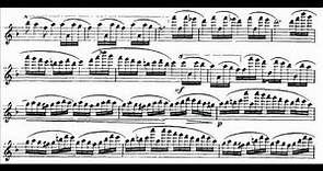 Strauss, Richard mvt1(begin) violin concerto Allegro