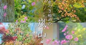 【京都紅葉情報】嵐山・奥嵯峨の紅葉色づき状況 と 常寂光寺 2023秋の拝観のお知らせ / 見頃・見どころ解説付き /旅行 /観光 /