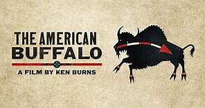 How to Stream or Watch on TV | The American Buffalo | Ken Burns | PBS