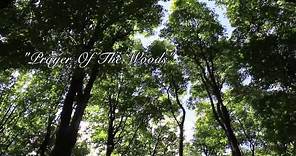 Tony Dekker - Prayer of the Woods Album Preview