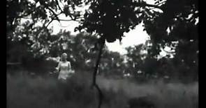 Morangos Silvestres, de Ingmar Bergman - Teaser